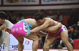 Традиционная корейская борьба столкнулась с проблемой выживания