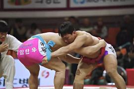 Традиционная корейская борьба столкнулась с проблемой выживания