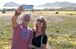 Буйное цветение преобразило засушливый ландшафт в Испании