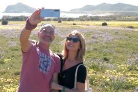 Буйное цветение преобразило засушливый ландшафт в Испании