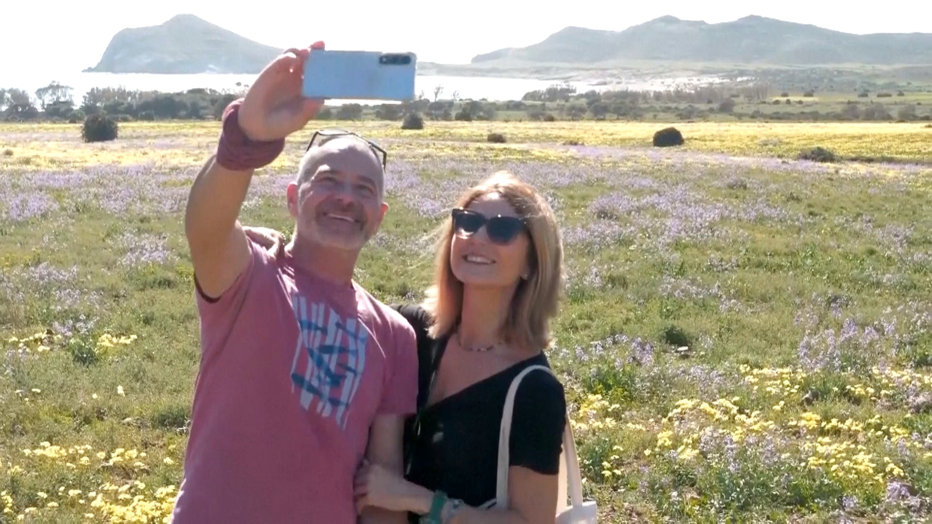 Буйное цветение преобразило засушливый ландшафт в Испании Буйное цветение преобразило засушливый ландшафт в Испании