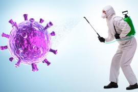 Санитарный щит: как профессиональная дезинфекция, дезинсекция и дератизация защищают бизнес и здоровье