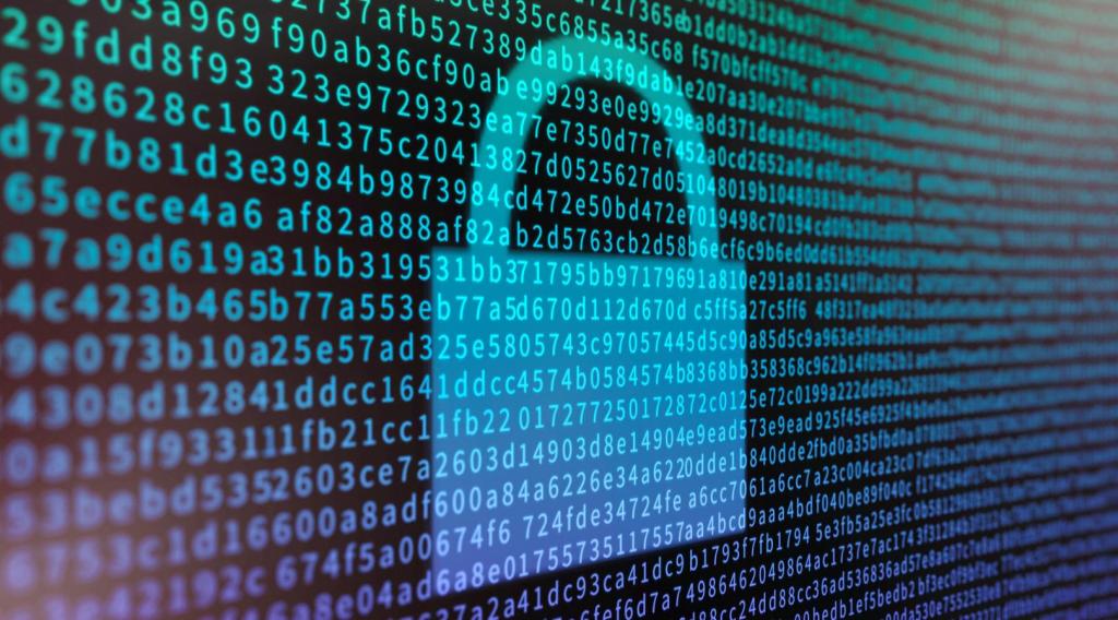 Шифрование данных для безопасности сайта