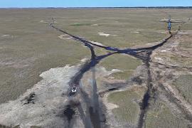 Тропическое болото Эверглейдс на юге Флориды пересыхает второй год подряд