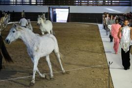 Стелла Маккартни провела показ с лошадьми на Неделе моды в Париже