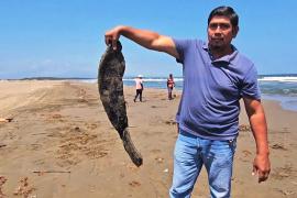 Утечка нефти нарушила рыболовство в Мексике