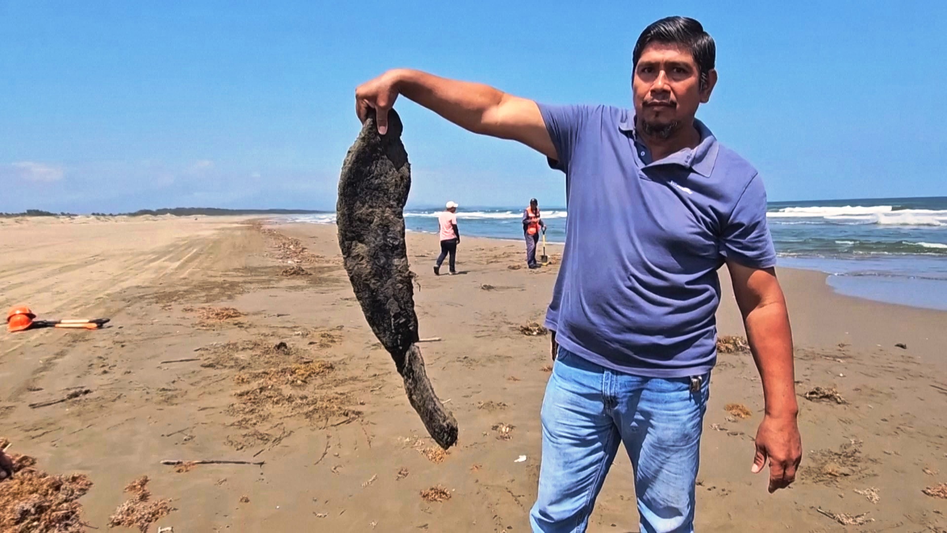 Утечка нефти нарушила рыболовство в Мексике