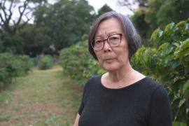 1500 кофейных деревьев высадили на крупнейшей в мире городской кофейной плантации в Бразилии