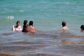 Нашествие водорослей на побережье Карибского моря в Мексике отпугивает туристов