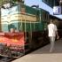 100-летний поезд и живописный ландшафт: туристы на юге Индии отправляются в увлекательное путешествие