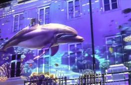 Фестиваль огней в Загребе посвятили приходу весны