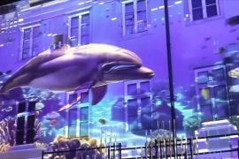 Фестиваль огней в Загребе посвятили приходу весны