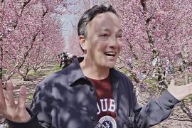 Розовое море цветущих персиков в Греции привлекло тысячи туристов