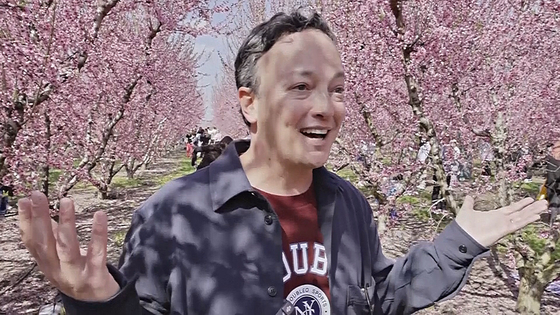 Розовое море цветущих персиков в Греции привлекло тысячи туристов