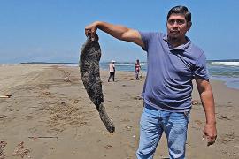 Жители мексиканского штата Табаско жалуются на загрязнение после аварии на НПЗ Pemex