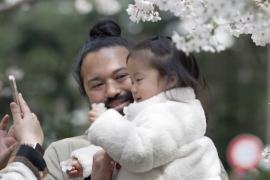 Токио утопает в цветах сакуры