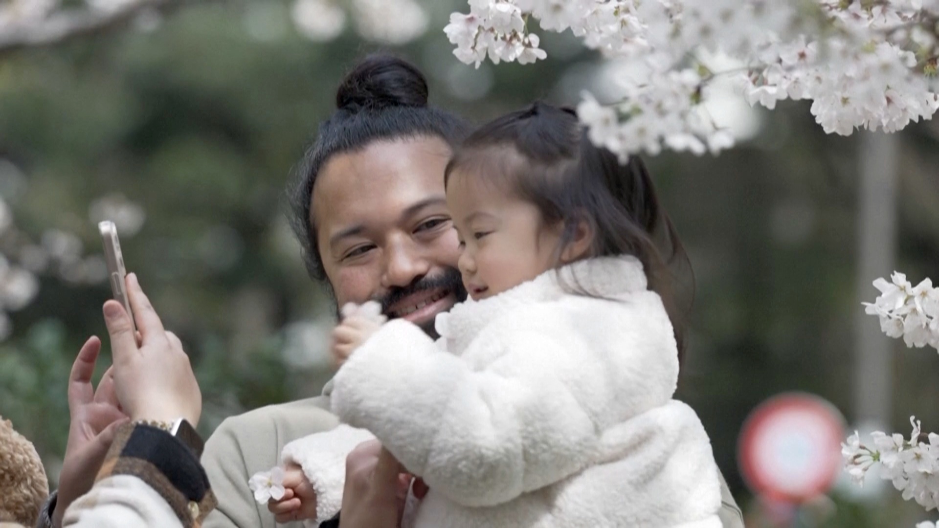 Токио утопает в цветах сакуры