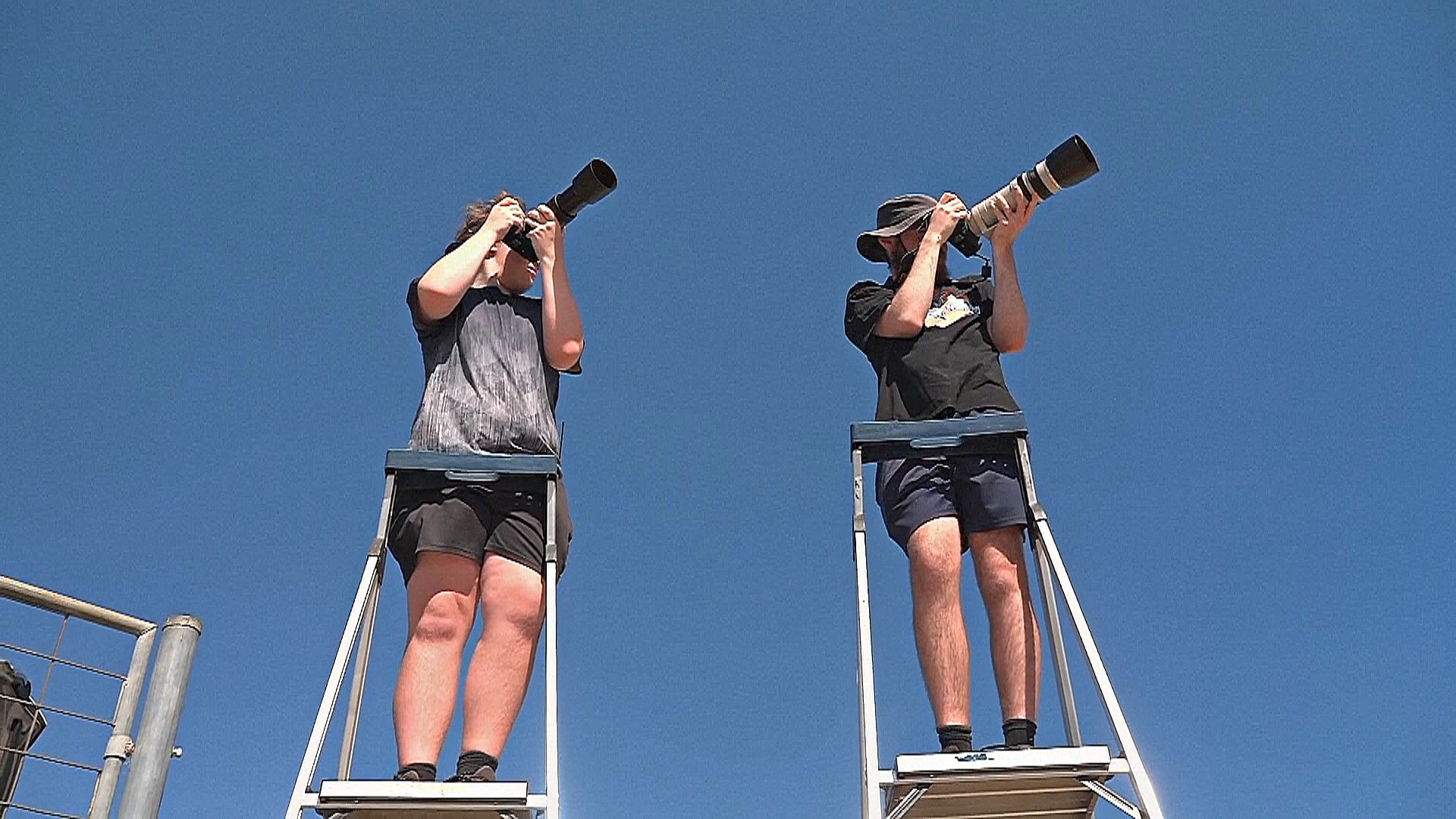 Любители самолётов требуют смотровой площадки для своего хобби