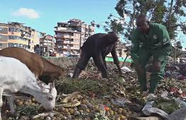 Как пищевые отходы в Кении превращают в ценные продукты