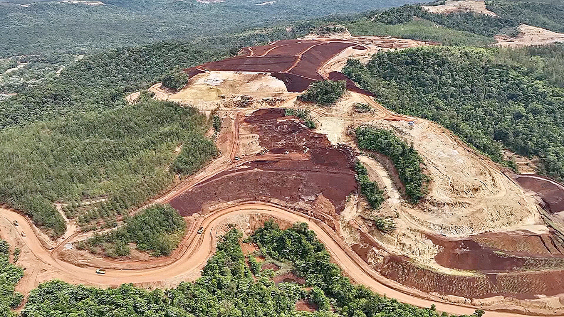 Тропические леса под угрозой: вырубка в Индонезии выросла на две трети