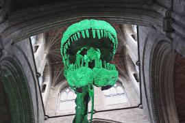 37-метровый скелет титанозавра временно «поселился» в соборе в Англии