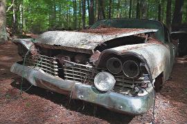 Автосвалка в США превратилась в уникальный музей среди деревьев