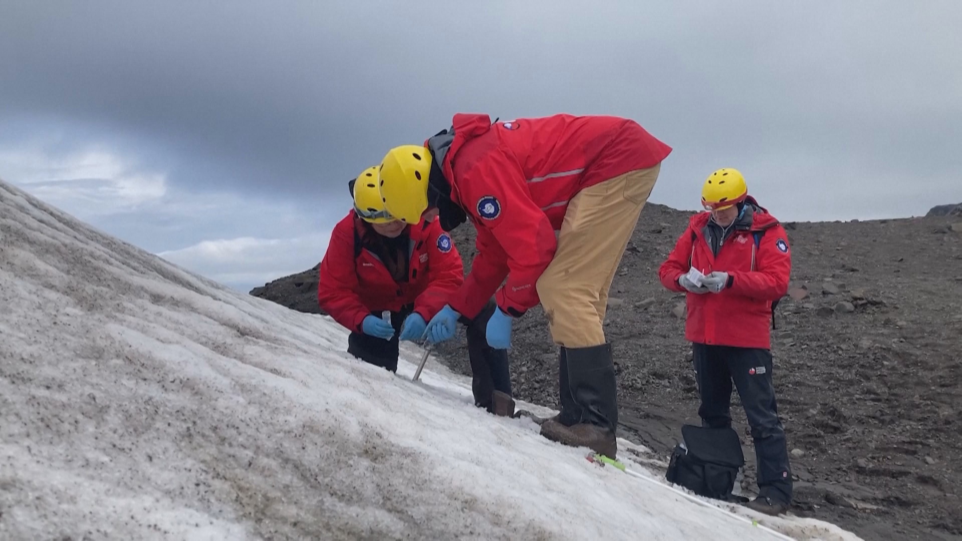 Микроорганизмы из Антарктиды и Атакамы полетят в космос в рамках эксперимента