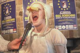 Чемпионат по имитации крика чаек провели в Бельгии