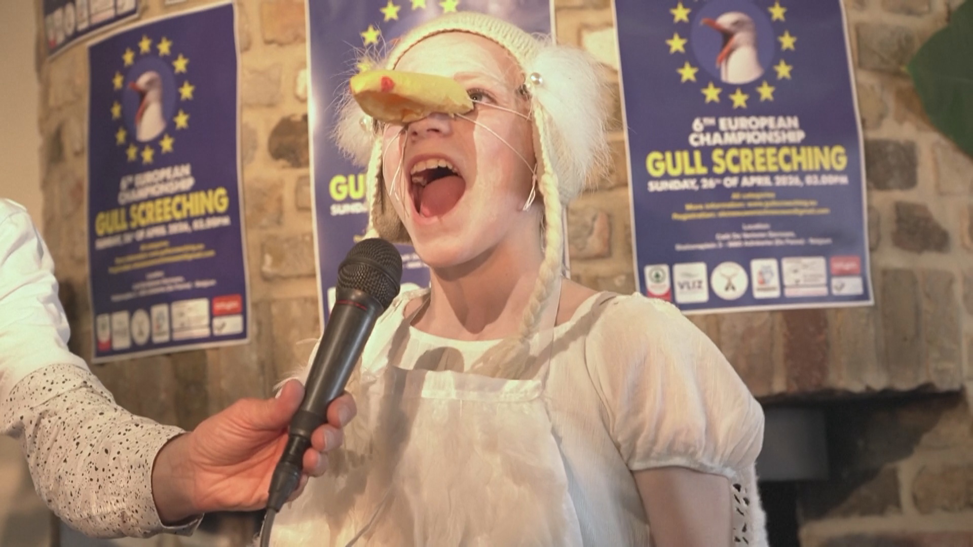 Чемпионат по имитации крика чаек провели в Бельгии