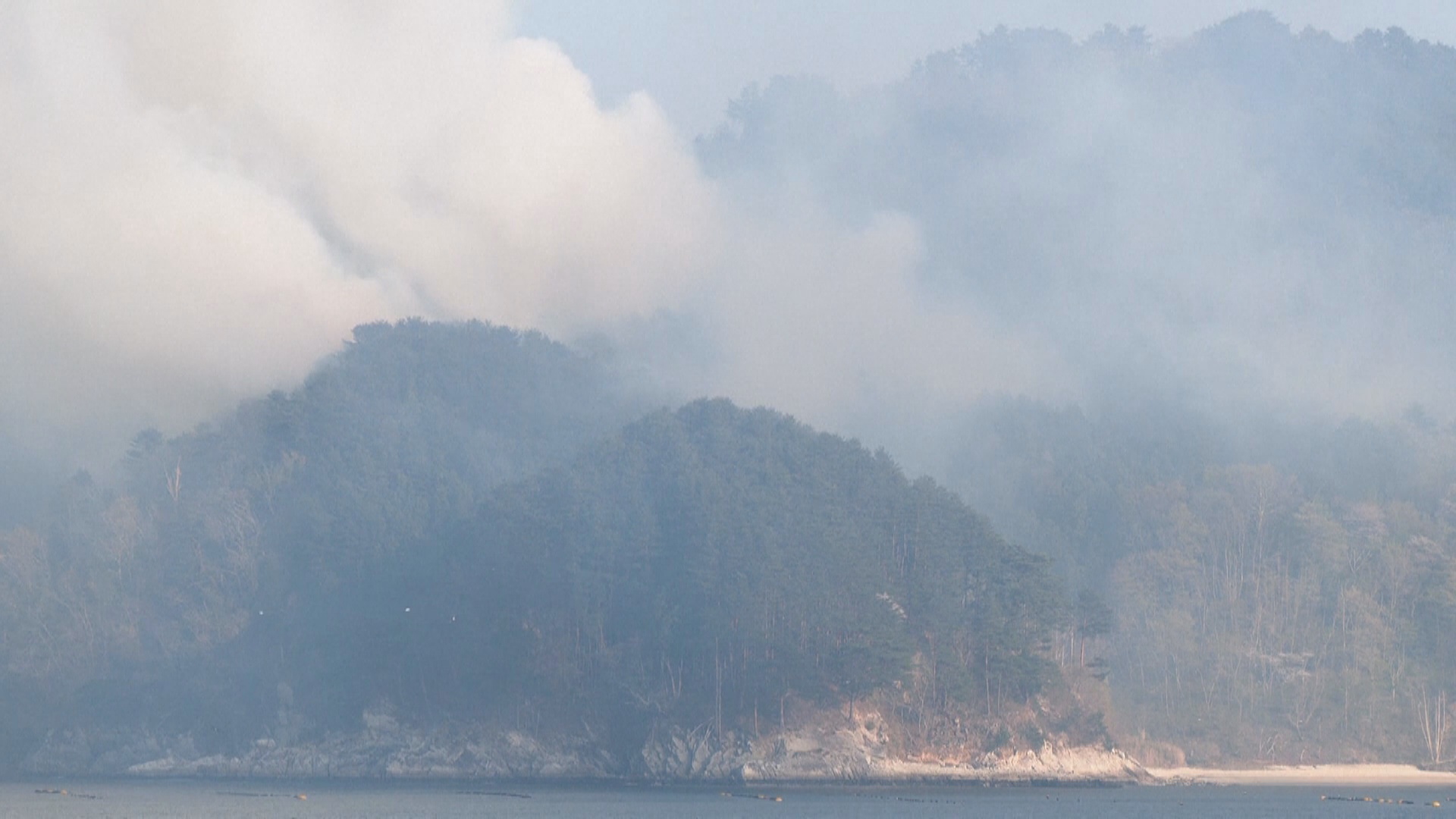 В Японии эвакуируют тысячи жителей из-за лесных пожаров