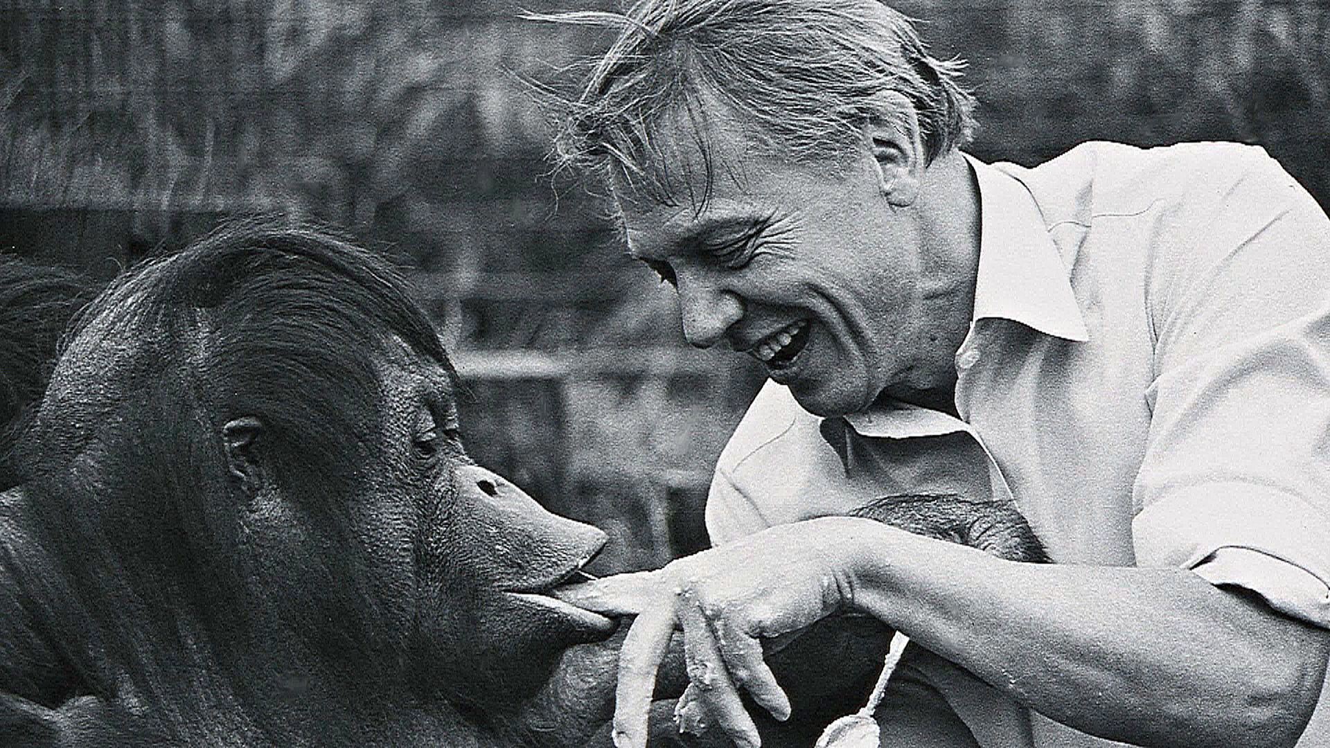 Зоологическое общество Лондона отмечает 200-летие открытием нового центра защиты животных