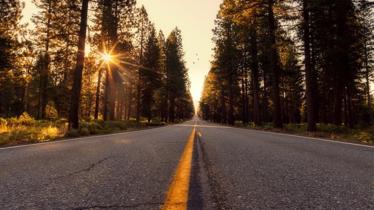 Современные стандарты автобусных перевозок: планирование поездок и доступный сервис