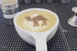 Йеменская кофейная культура набирает популярность в США