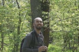В Сербии энтузиасты выкупили лес, чтобы спасти его от вырубки