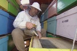 Познакомьтесь с румынской семьёй, три поколения которой производят мёд