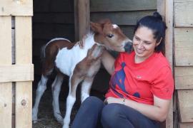 Хорватка спасла маленького пони и взяла его к себе в квартиру