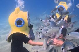 Туристы гуляют по морскому дну, спасаясь от жары в Хорватии
