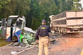 ДТП в Бразилии: 23 погибших