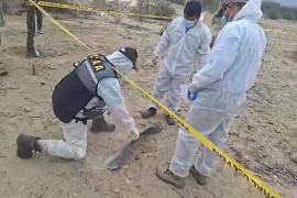 В Перу во время полёта над знаменитым линиями Наска разбился самолёт с туристами
