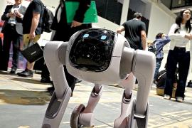 Роботы и цифровые питомцы: что показали на выставке IFA в Берлине