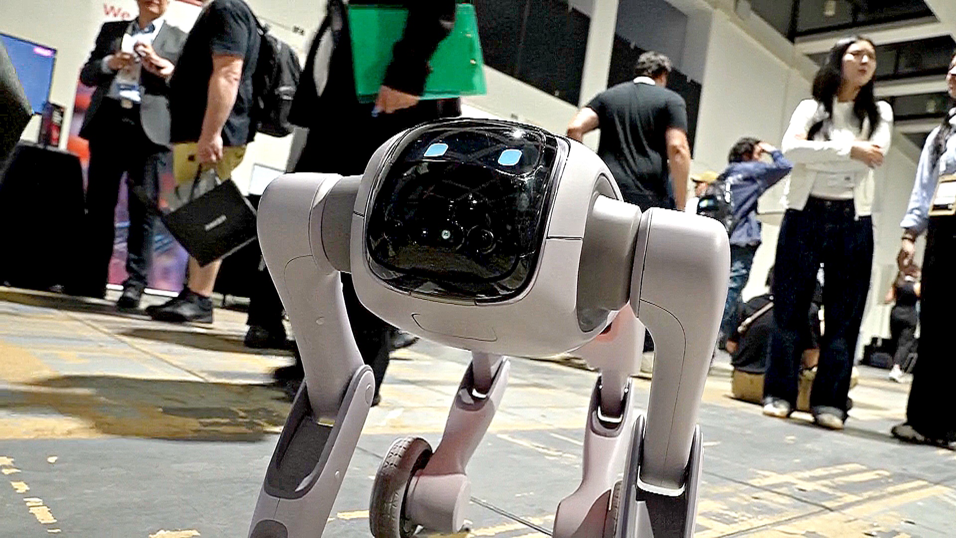 Роботы и цифровые питомцы: что показали на выставке IFA в Берлине Роботы и цифровые питомцы: что показали на выставке IFA в Берлине