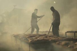 Жар огня и аромат: приготовлению мяса способом асадо криольо посвятили праздник в Аргентине