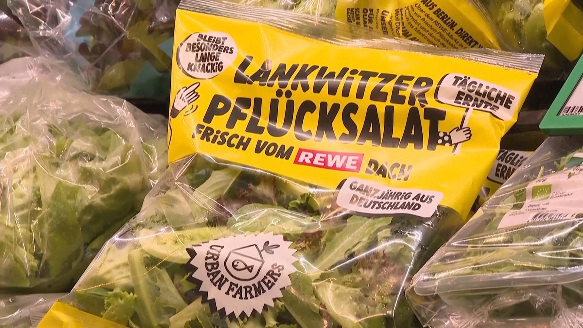 Супермаркет в Берлине сам выращивает и продаёт салат Супермаркет в Берлине сам выращивает и продаёт салат