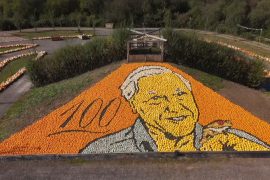Портрет натуралиста Дэвида Аттенборо из 11 000 тыкв установил мировой рекорд