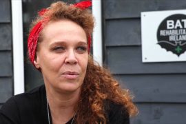 Второй шанс: в Ирландии спасают больных и раненых летучих мышей