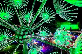 «Сказочный лес» и море цветов: в Софии открылся фестиваль света