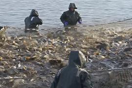 Воду из рыбных прудов Венгрии начали направлять на сухие поля