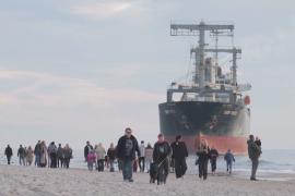 Огромный сухогруз у пляжа: необычная картина в Калининградской области