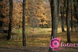 Красивые фото природы