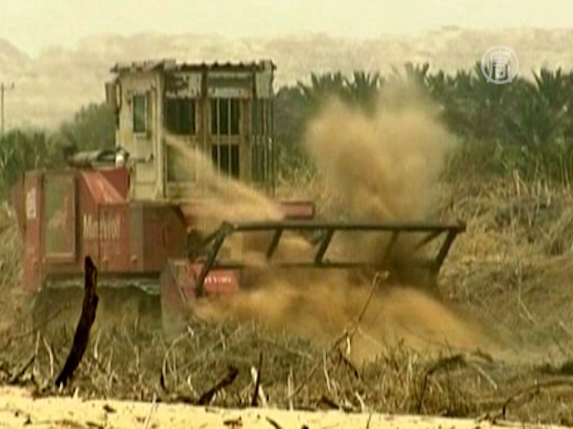 Израиль собирает урожай мин